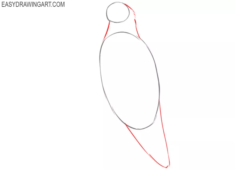 how to draw a bald eagle step by step