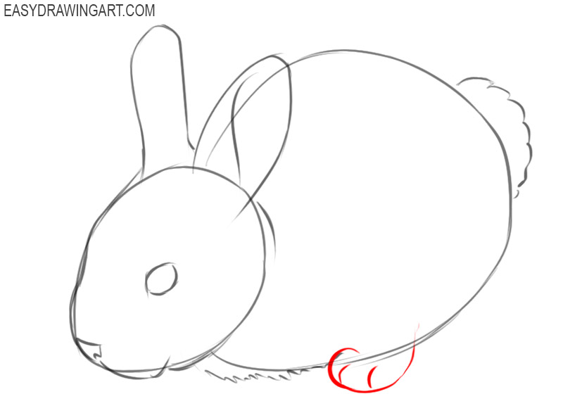 how to draw a basic bunny