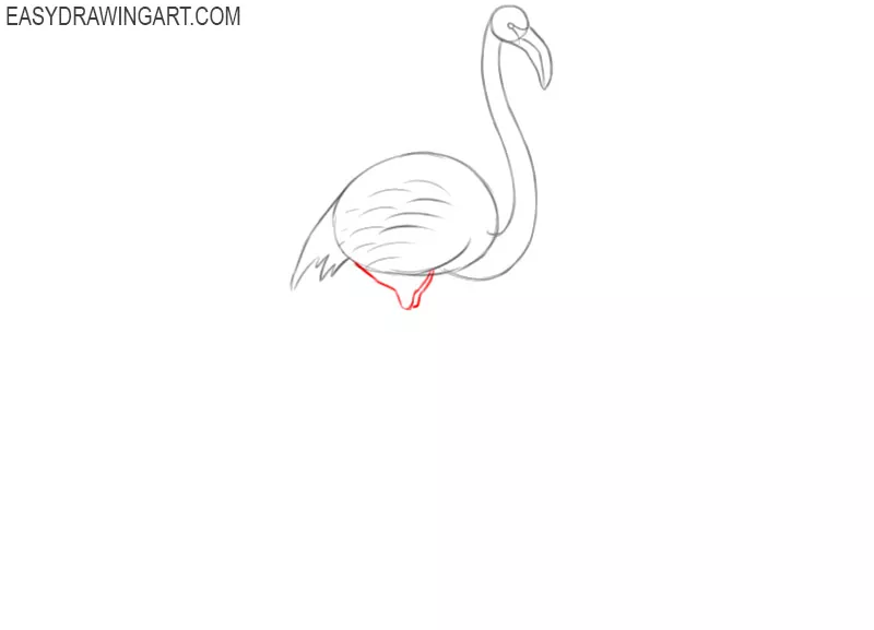how to draw a basic flamingo