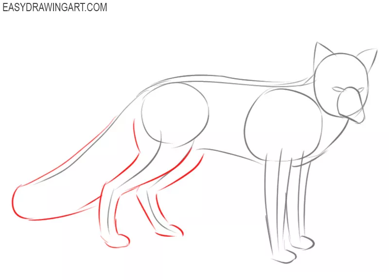 how to draw a basic fox