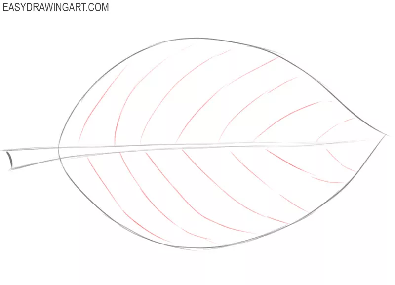 Sketch contour of simple leaf plant side view Vector Image