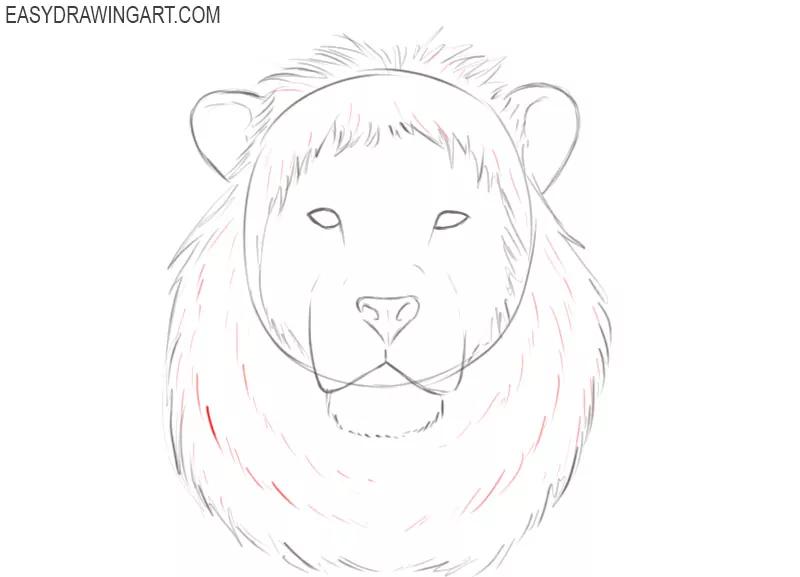 how to draw a basic lion head