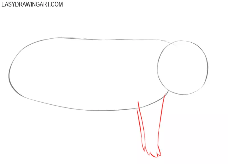 how to draw a basic pig