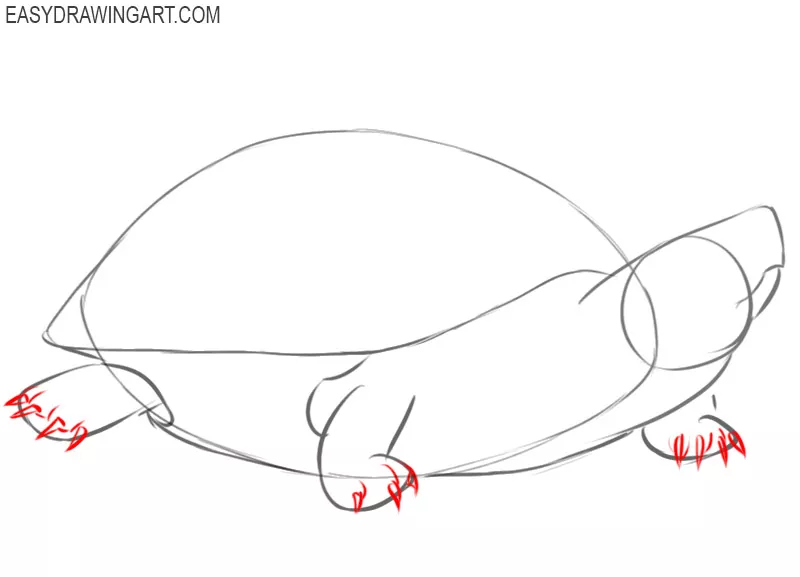 How to Draw a Snapping Turtle Step by Step Von Doussa Drinnera