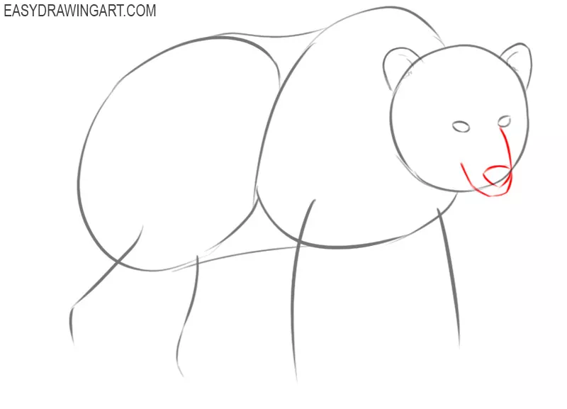 how to draw a bear body step by step