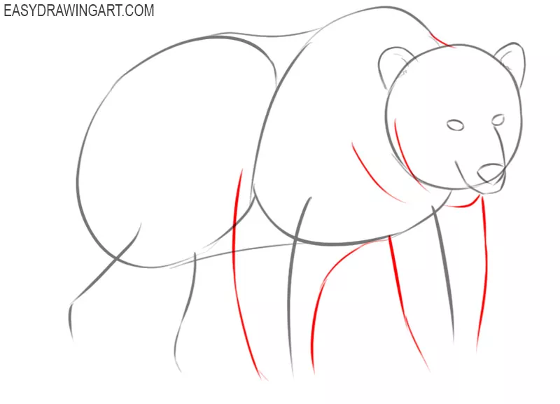 how to draw a bear by step