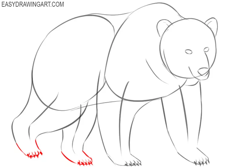 how to draw a bear easily