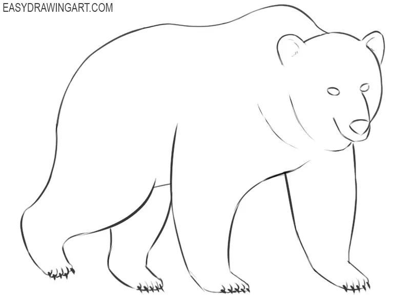 How to Draw a Bear Easy Drawing Art