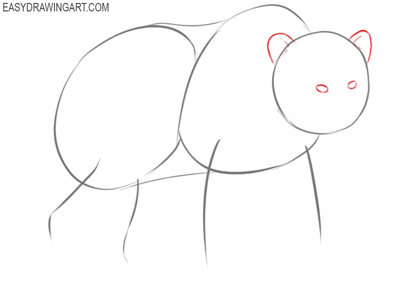 how to draw a bear for kids