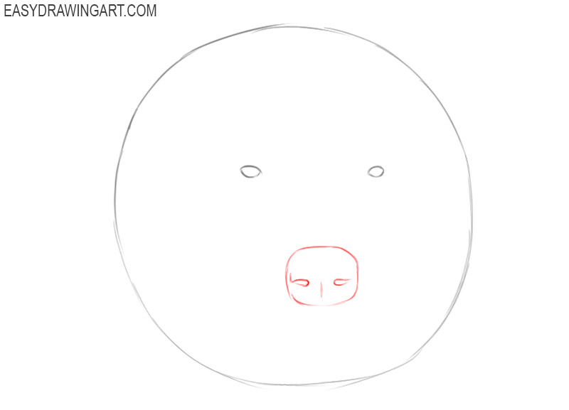 how to draw a bear head easy step by step