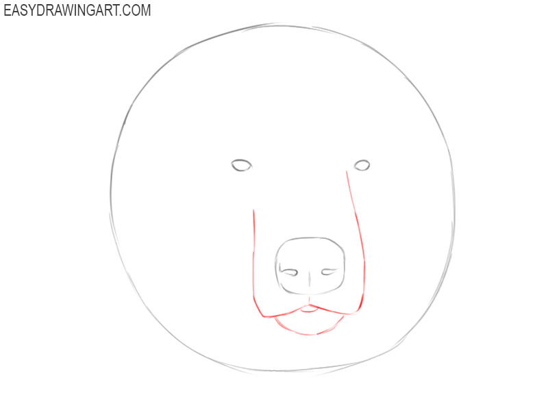 how to draw a grizzly bear head