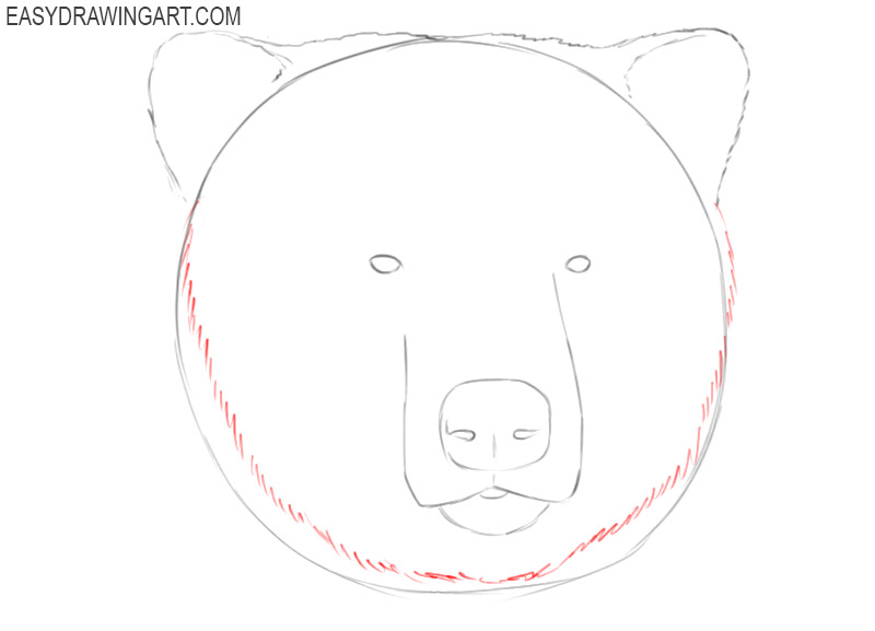 how to draw a grizzly bear head step by step