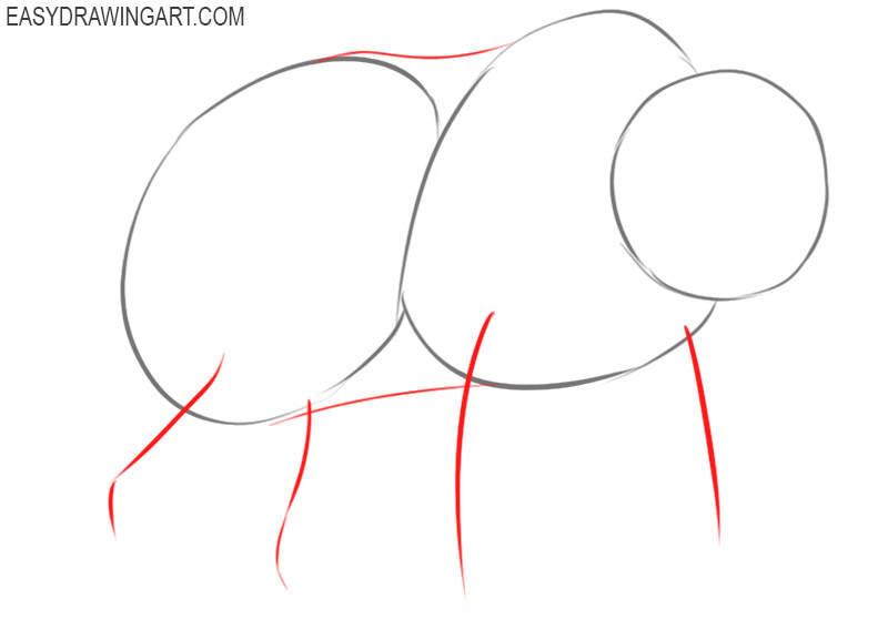 how to draw a bear easy