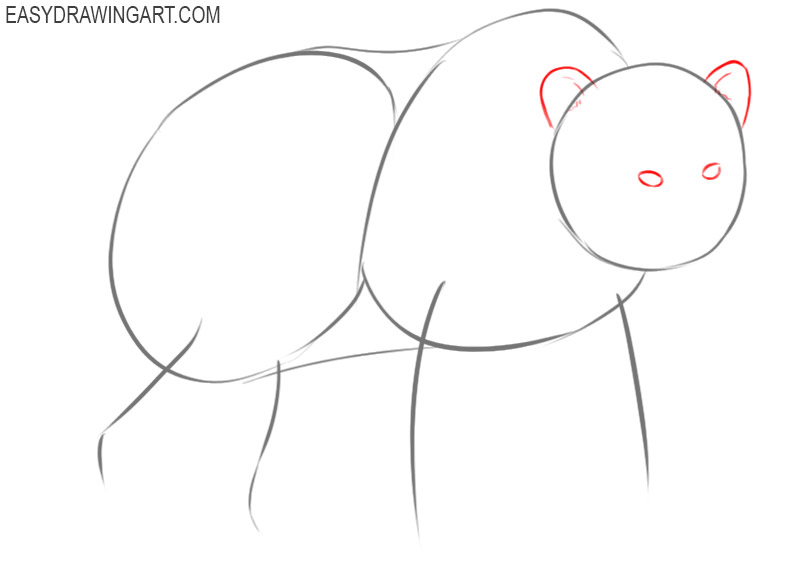 how to draw a bear for kids