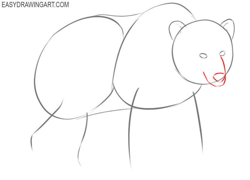 how to draw a bear body step by step
