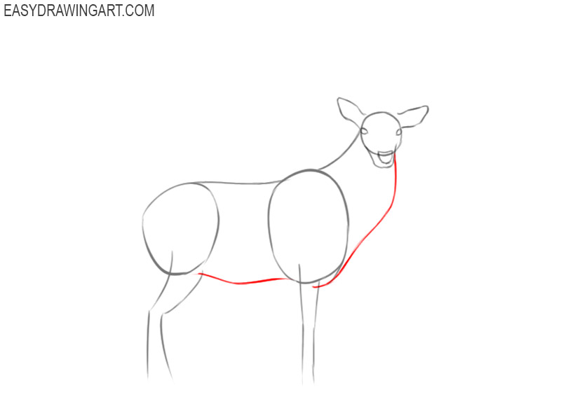 how to draw a beautiful deer