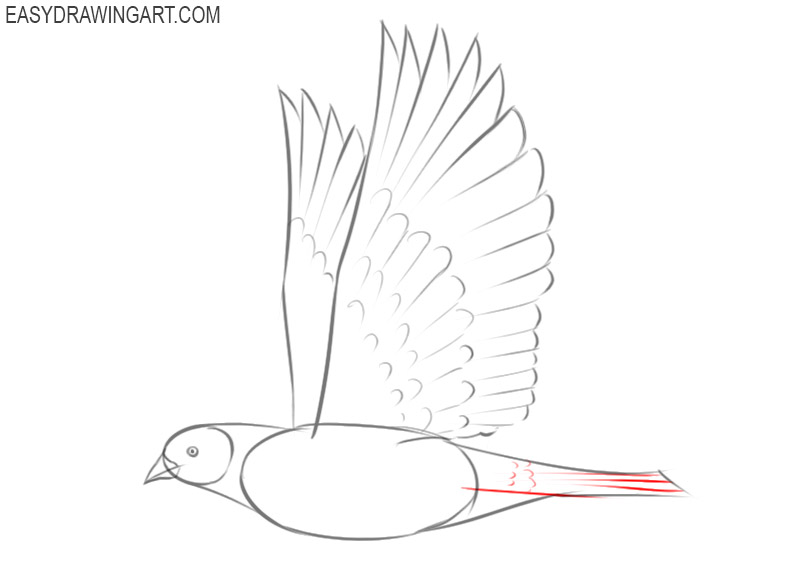 how to draw a beautiful dove