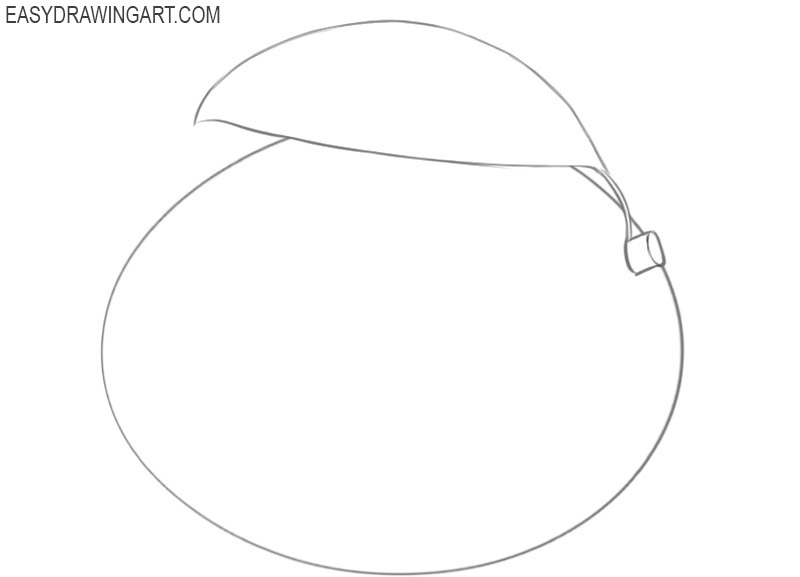 how to draw a beautiful mango