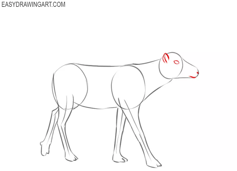 how to draw a beautiful reindeer