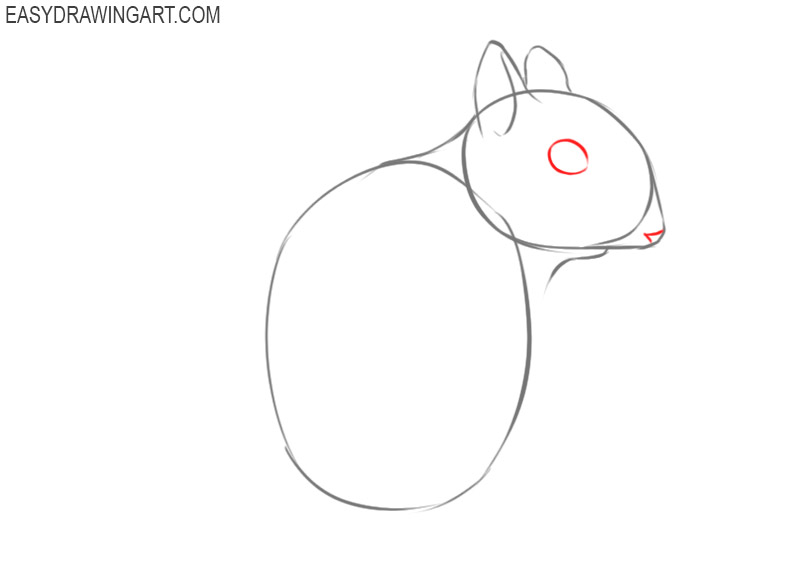 how to draw a beautiful squirrel