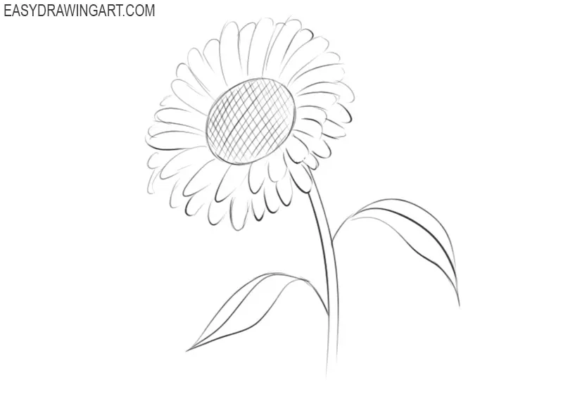 how to draw a beautiful sunflower