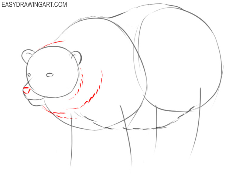 how to draw a big polar bear