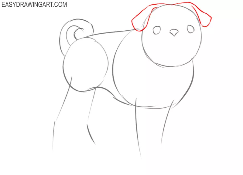 how to draw a big pug
