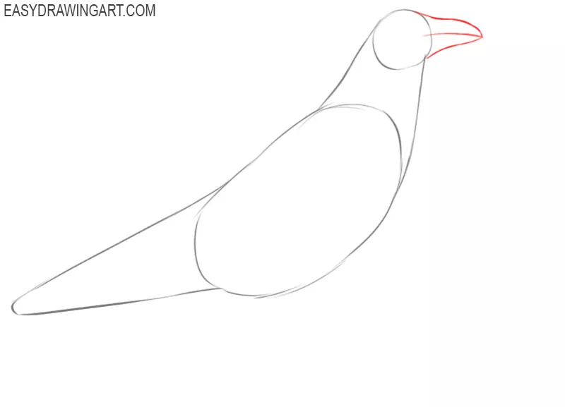 how to draw a big raven