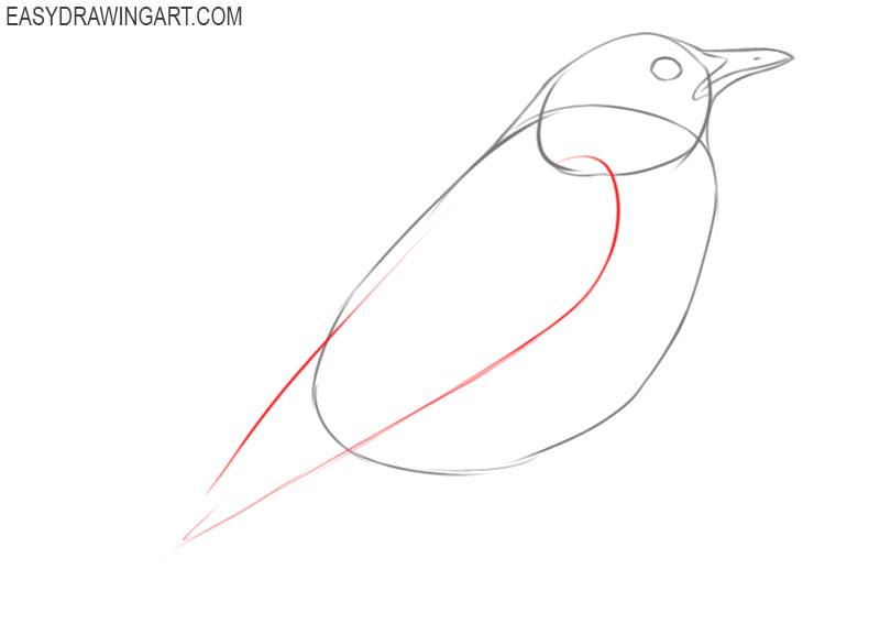 how to draw a bird and colour it