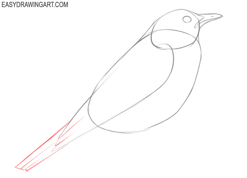 how to draw a bird basic