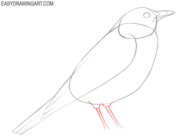 how to draw a bird by pencil