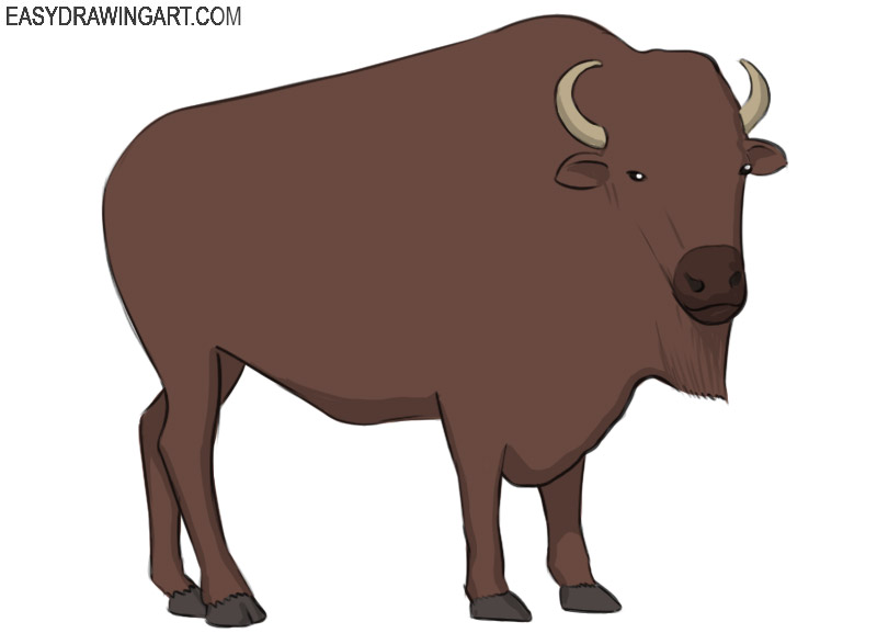 how to draw a bison