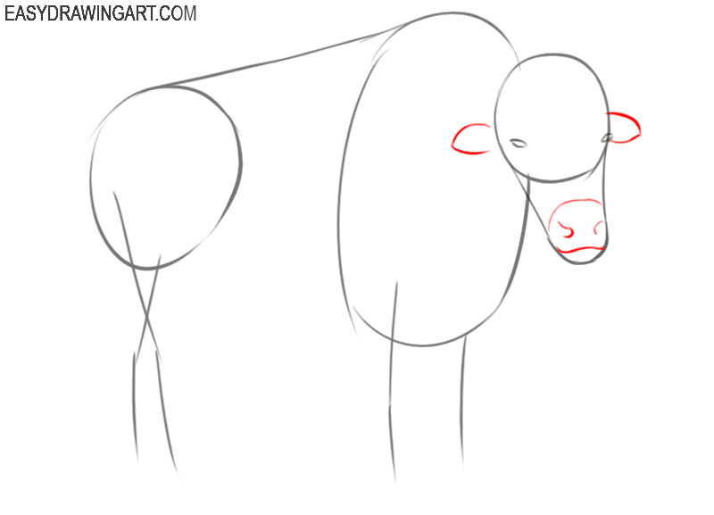 how to draw a bison cartoon