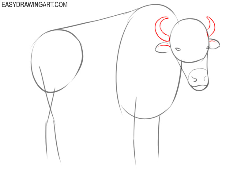 how to draw a bison easy
