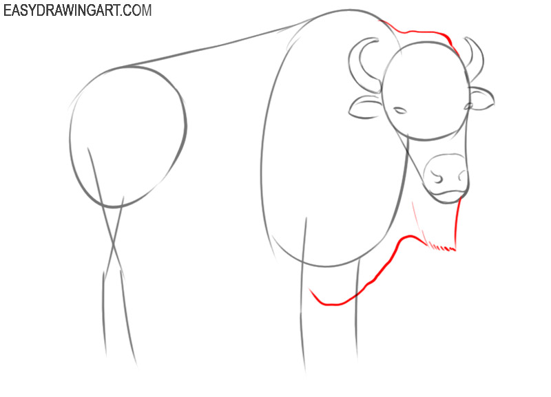 how to draw a bison step by step easy