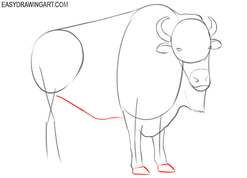 bison drawing step by step