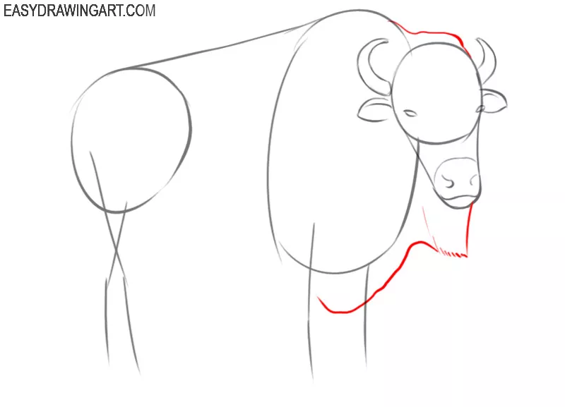 how to draw a bison step by step easy