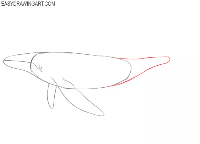 how to draw a blue whale easy step by step