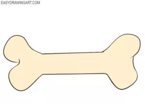 How to draw a bone