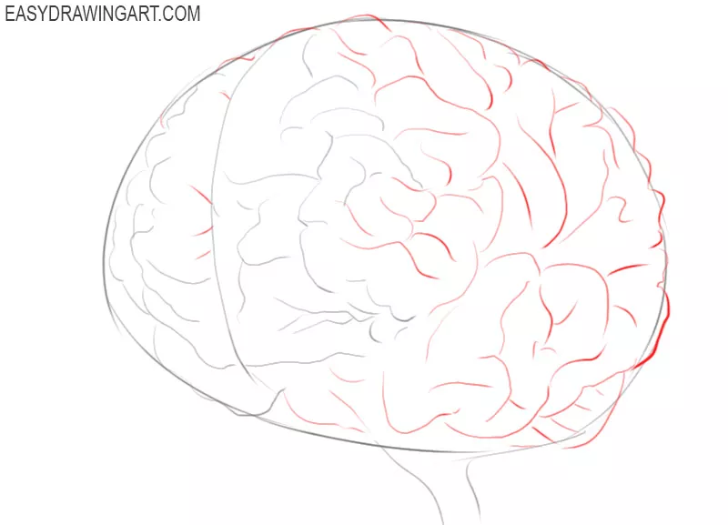 how to draw a brain simple