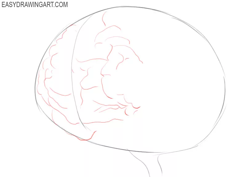 how to draw a brain step by step