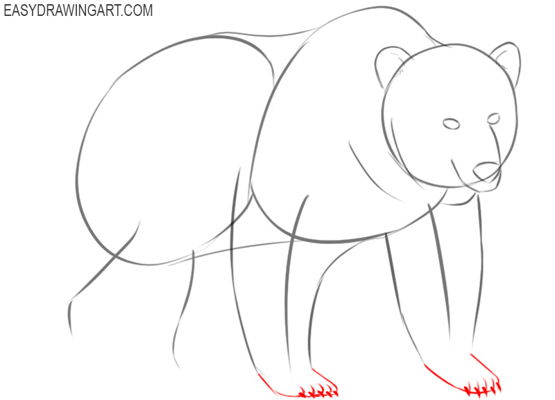 how to draw a brown bear
