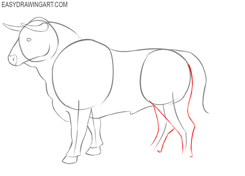 bull drawing easy