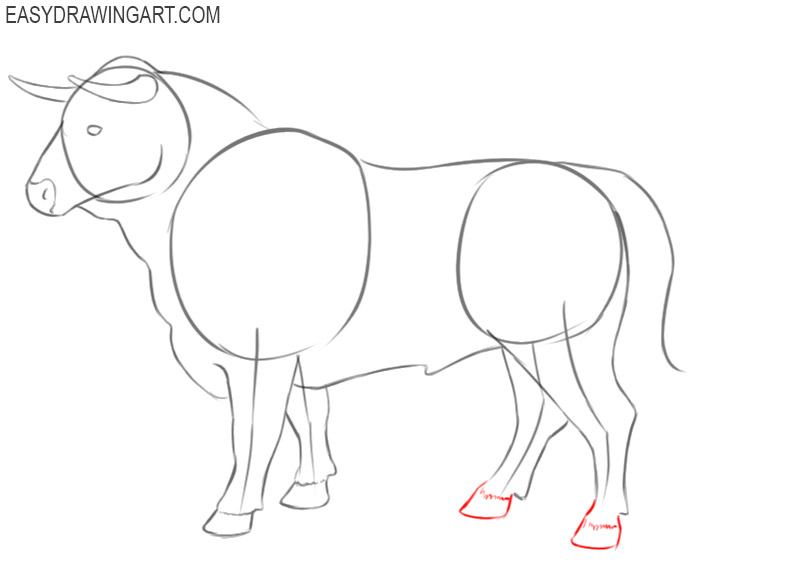 bull drawing easy step by step