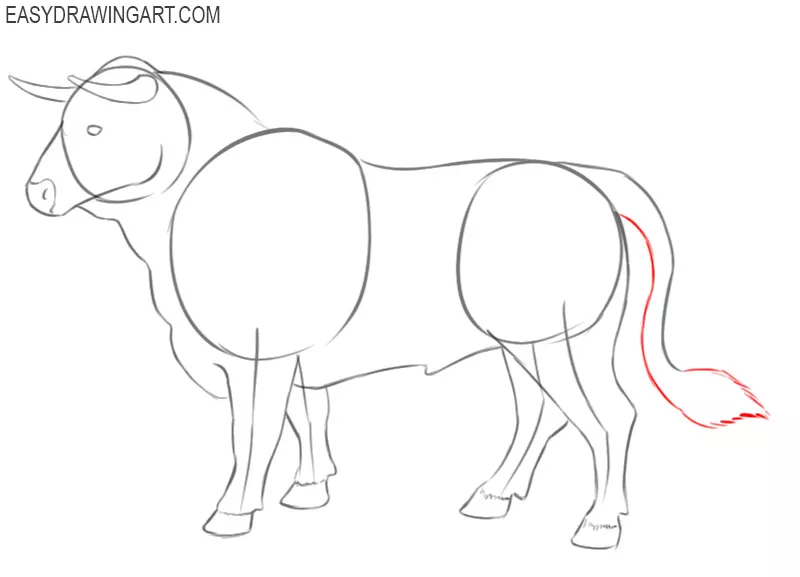 bull drawing images