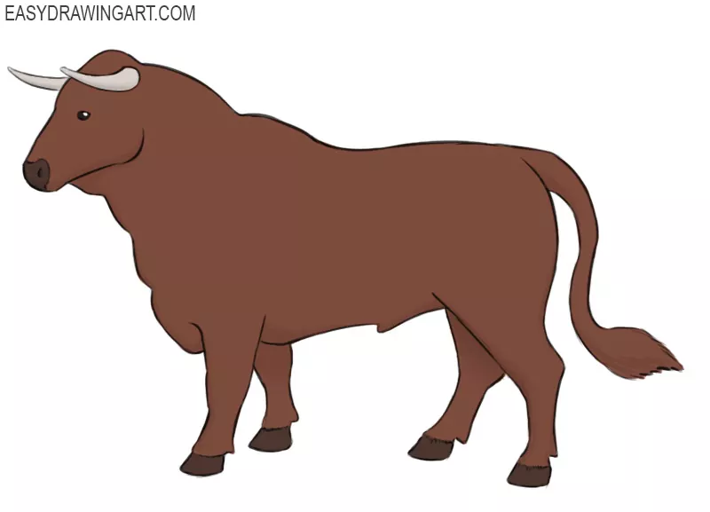 How to Draw a Bull