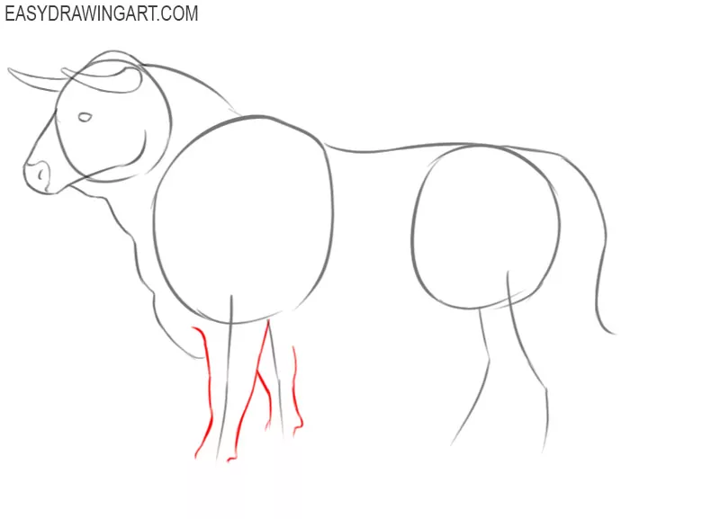 how to draw bull images