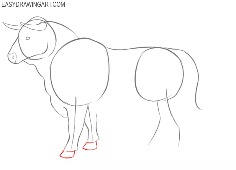 steps on how to draw a bull