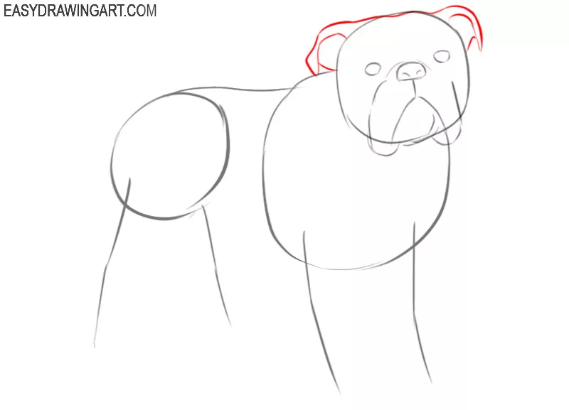 how to draw a bulldog body step by step