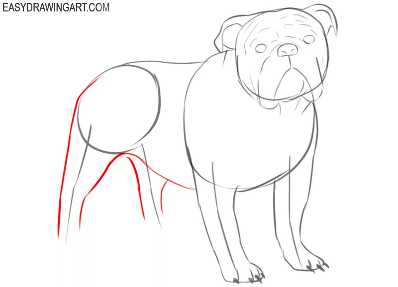 how to draw a bulldog draw so cute